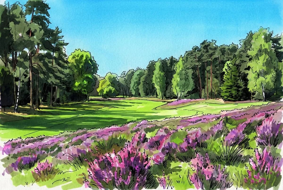Eindhovensche Golf, Netherlands